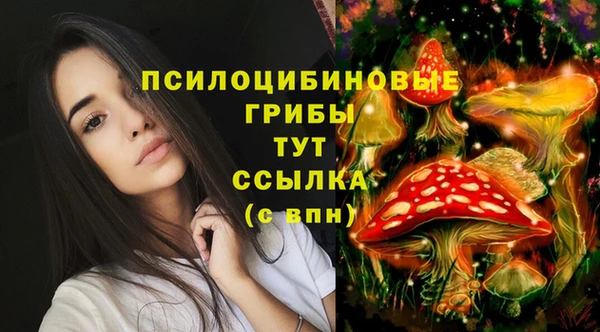 соль курить ск Абдулино